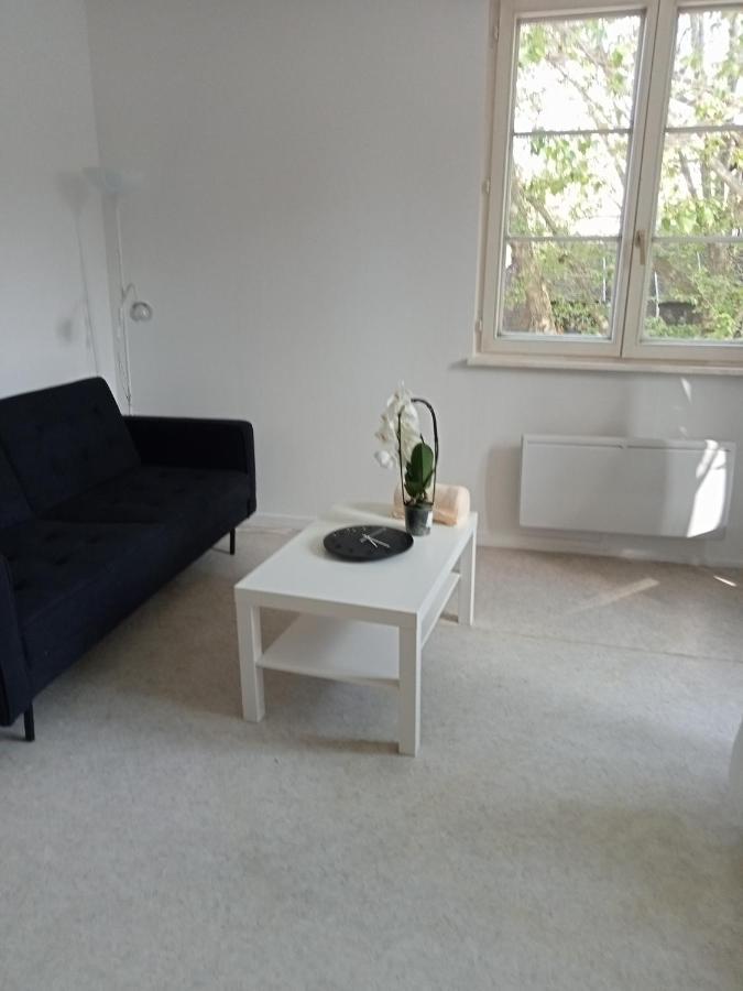 Au Coeur De La Petite France Apartment Strasbourg Exterior foto